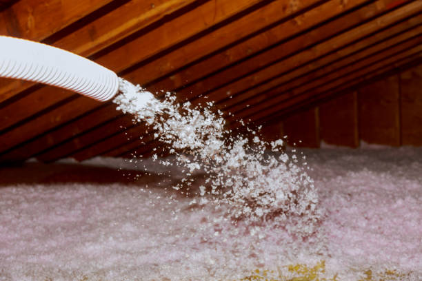 Best Attic Insulation Installation  in San Benito, TX