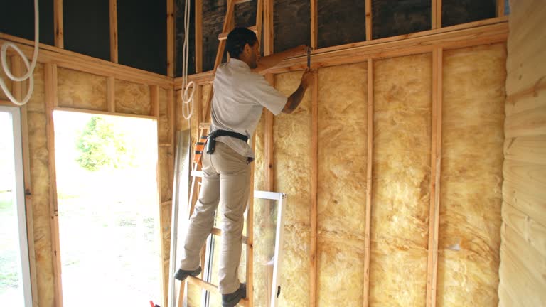 Best Spray Foam Insulation  in San Benito, TX