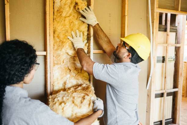 Best Basement Insulation  in San Benito, TX