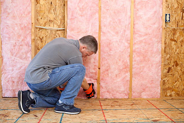 Best Eco-Friendly or Green Insulation Solutions  in San Benito, TX