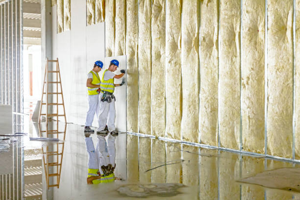 Best Fireproof Insulation  in San Benito, TX